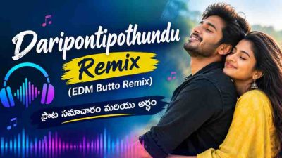 Daripontipothundu Remix (EDM Butto Remix) – పాట సమాచారం మరియు అర్థం